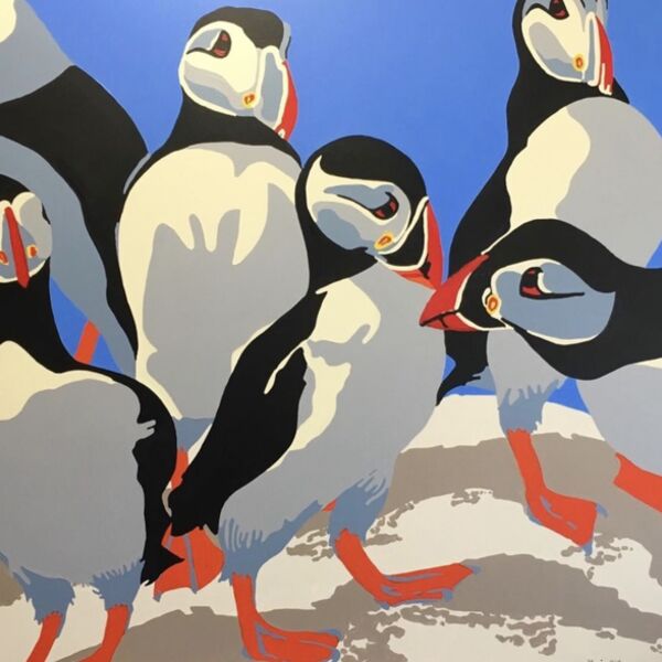 Much ado about puffin