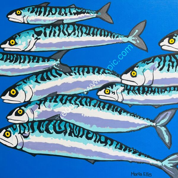 Shoal I compare thee to a summer's day