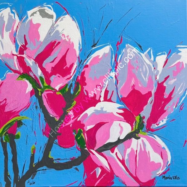 Marvellous magnolias