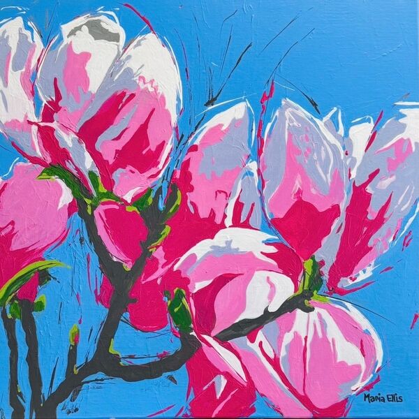 Marvellous magnolias