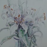 'Sara's Lilies'