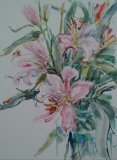 'Pink Lilies'