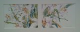 'Sketchbook Lilies'