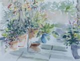 'Steve and Beth's patio pots'