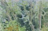 'Trees at Baddesley Clinton'