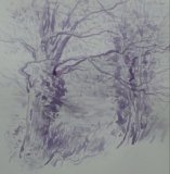 'Trees in the playing field'