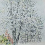 'Wood Pigeons in the cherry trees'