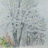 'Wood pigeons in the cherry trees'