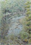 'River Arrow'