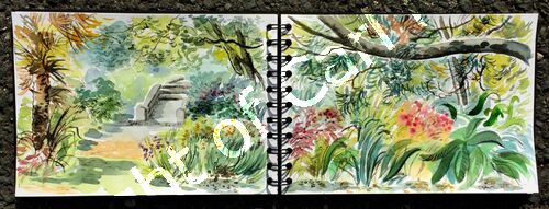 'Botanic Gardens, Ventnor'