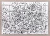 'Tomato plants'