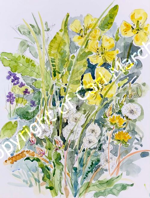 'Spring flowers'