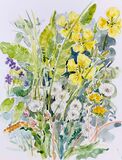 'Spring flowers'