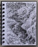 'View from the bridge'