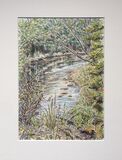 'River Arrow'