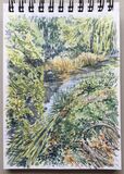 'River Alne'