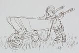 'Maxwell pushing the wheelbarrow'