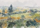 'Misty morning'