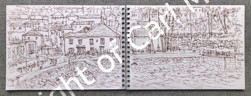 'Harbour side at Camara de Lobos'