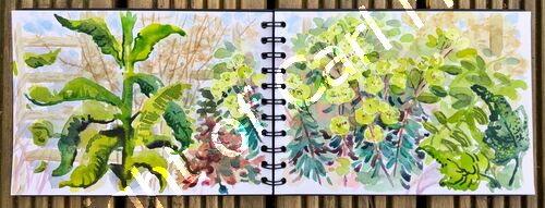 'Springtime colours and shapes'