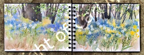 'Bluebell time'