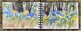'Bluebell time'