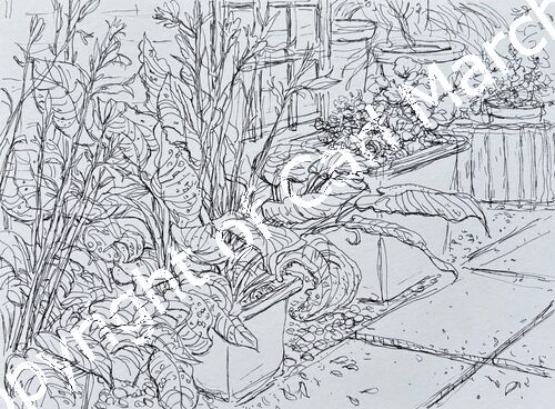 'Patio plants'
