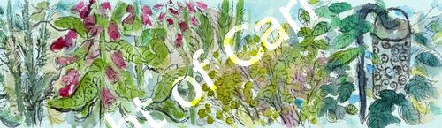 'Garden border'