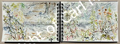 'Steps down to the river'
