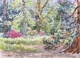 'Early summer at Batsford Arboretum'