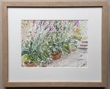 'Plants on the patio'