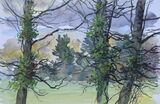 'Winter trees'