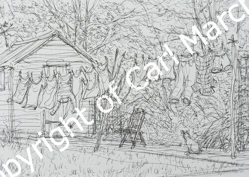 'A line of washing'