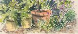 'Garden pots'