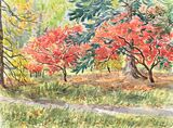 'October Arboretum'