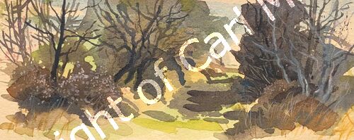 'Winter heath'