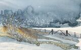 'Frosty morning'