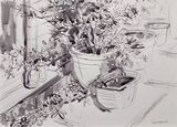 'Patio pots'