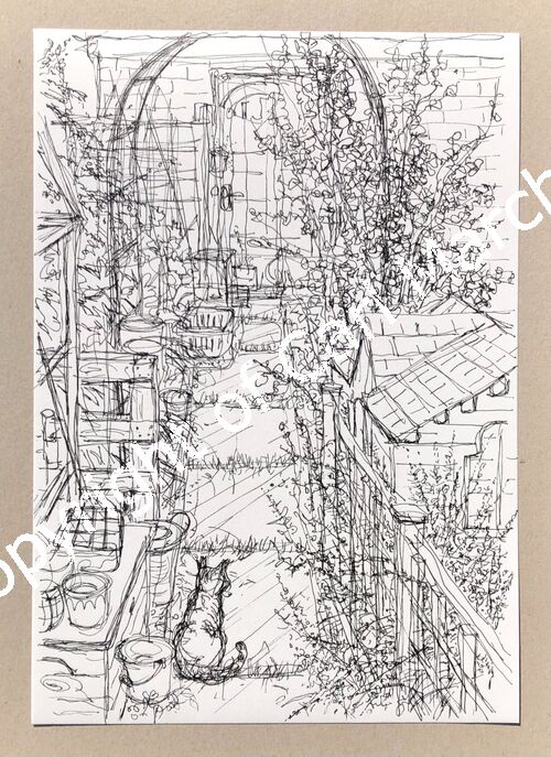 'Cat on the garden path'