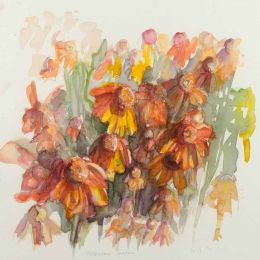 Helenium garden