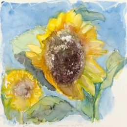 Windswept sunflower
