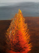 Phoenix 1