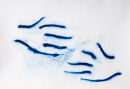 Hands 2