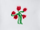 Tulips 2