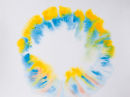 Fiery Ring 2