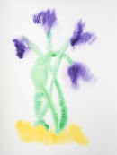 Purple tulips