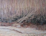 Reed Bed