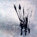 Reeds In Water