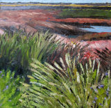 Salt Marsh