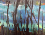Reeds Reflection ll